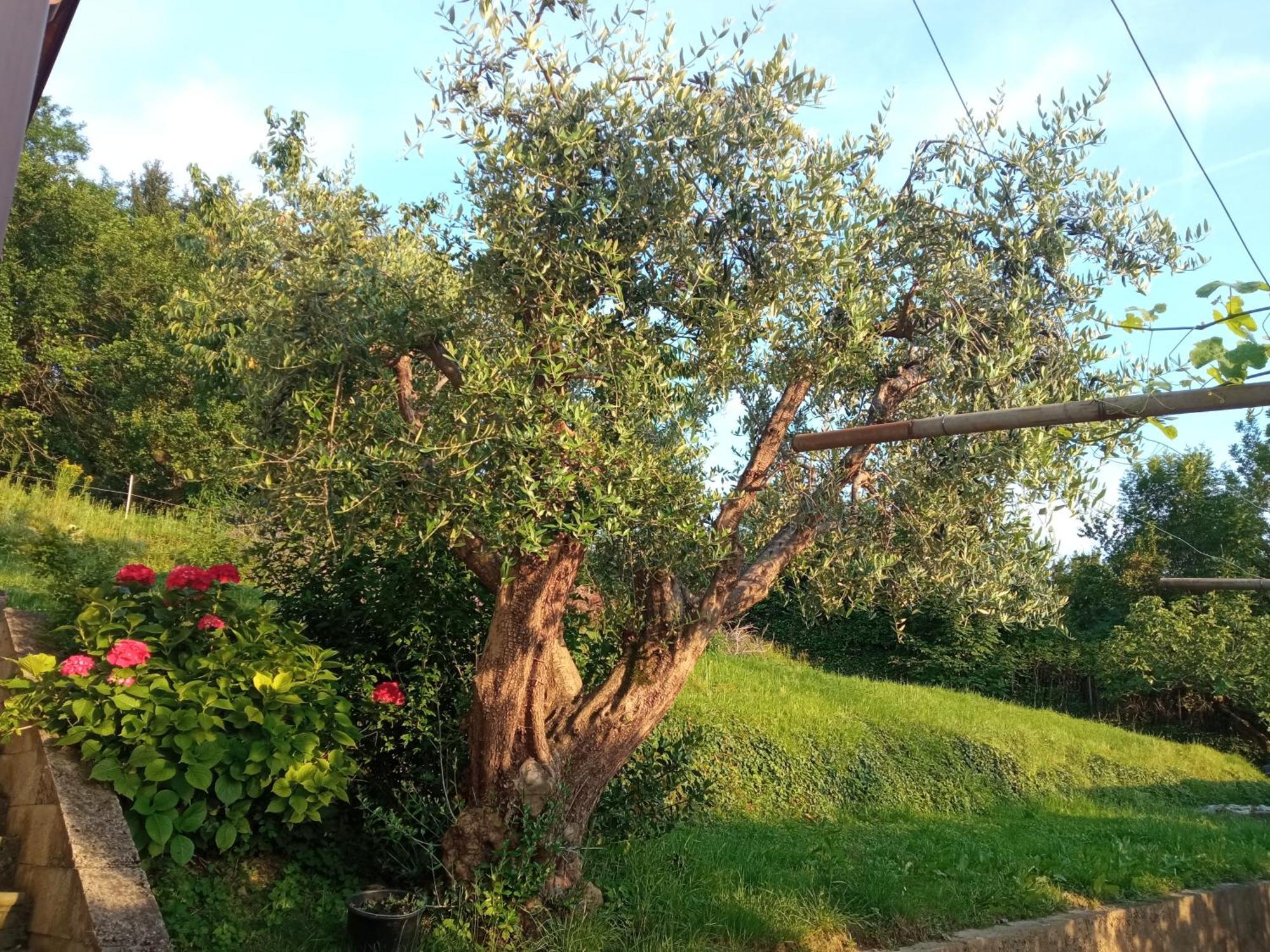 Bergamo Bnb Villa di Serio Esterno foto